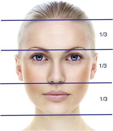 Facial proportions mapping for structural analysis